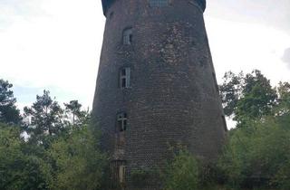 Haus kaufen in 14929 Treuenbrietzen, Treuenbrietzen - Mühle mit Gewerbe und Wohnen an Badesee ,südl.von Berlin