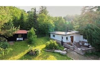 Haus kaufen in 06425 Alsleben, Alsleben (Saale) - Außergewöhnliches Anwesen bei Alsleben (Saale)