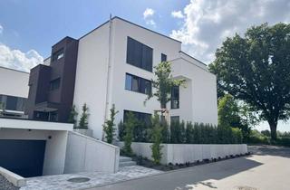 Penthouse mieten in Kastanienring, 74906 Bad Rappenau, Erstbezug Hochwertige Penthousewohnung mit teilweise überdachter Süd-West-Nord Dachterasse