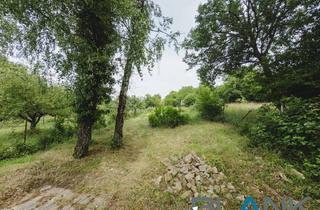 Grundstück zu kaufen in 75236 Kämpfelbach, Idyllisches Freizeitgrundstück mit 1721 qm