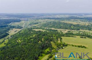 Grundstück zu kaufen in 75236 Kämpfelbach, 1.721 m² Freizeitgrundstück zur vielseitigen Nutzung in Pforzheim !