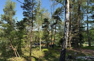 Grundstück zu kaufen in 08485 Lengenfeld, Naturidyll mit Potenzial – Großzügiges Garten-Grundstück mit Altbaumbestand in Lengenfeld-Irfersgrün