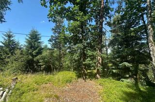 Grundstück zu kaufen in 08485 Lengenfeld, Naturidyll mit Potenzial – Großzügiges Garten-Grundstück mit Altbaumbestand in Lengenfeld-Irfersgrün
