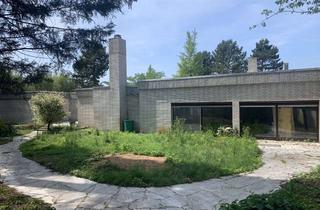 Gewerbeimmobilie kaufen in 67346 Speyer, Speyer- Bungalow mit 420qm Wohn- und Gewerbefläche auf einer Ebene