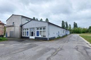 Geschäftslokal mieten in 03050 Cottbus, Gewerbeeinheit mit Büro- und vielseitiger Lagerfläche zu vermieten