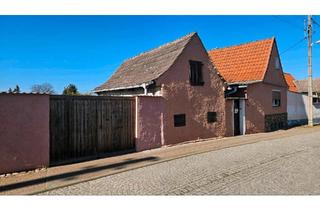 Einfamilienhaus kaufen in 06493 Ballenstedt, Ballenstedt - Einfamilienhaus mit Nebengelass