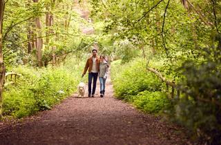 Penthouse kaufen in 32584 Löhne, Mondänes Penthouse für höchste Ansprüche - inkl. Dachterrasse