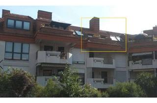 Wohnung mieten in Rosenpark 12, 65795 Hattersheim, 2 Raum Dachgeschosswohnung mit Sonnenbalkon u. Kamin in Hattersheim am Main
