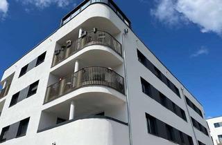 Wohnung mieten in Zum Domfelsen, 39104 Altstadt, Top-Lage- Neubau mit Elb- und Domblick