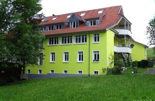 Mehrfamilienhaus kaufen in 79669 Zell, Exklusives Mehrfamilienhaus mit weitläufigem Park in einmaliger Lage!