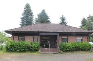 Haus kaufen in 04889 Schildau, Wo Ruhe Raum bekommt – Wohnen mit Blick ins Grüne Ebenerdiges Wohnen in Schildau