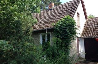Haus mieten in Wildrosenweg, 14542 Werder (Havel), Traumhaus in Traumlage
