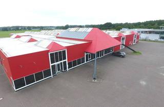 Gewerbeimmobilie mieten in Südring, 31582 Nienburg, Gewerbehalle im Nienburger Südring als Lager- oder Produktionshallen