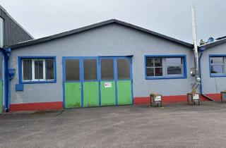 Gewerbeimmobilie mieten in 93128 Regenstauf, Lager oder Werkstatt - viele Möglichkeiten zur Nutzung