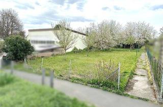 Grundstück zu kaufen in 34414 Warburg, Grundstück für Freizeit oder Tiny-House