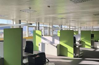 Büro zu mieten in 67227 Frankenthal, Gepflegte Bürofläche vom Eigentümer zu vermieten, Flächen flexibel anzupassen