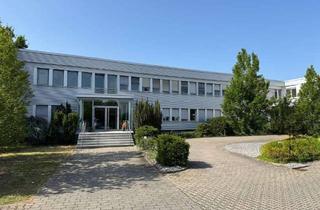 Büro zu mieten in 68519 Viernheim, Vielseitig nutzbare Büro-und Produktionsflächen - ab 230m² Gewerbefläche zu vermieten -