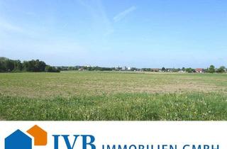 Gewerbeimmobilie kaufen in 33829 Borgholzhausen, Ackerland, Wiesen und kleine Waldflächenin Borgholzhausen!
