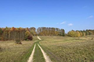 Gewerbeimmobilie kaufen in 17268 Templin, Landwirtschaftsfläche, See, Wald, Unland, Kuhkoppel, Ausgleichs-/ Ersatzfläche