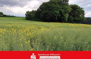 Gewerbeimmobilie kaufen in 86554 Pöttmes, Ackerfläche zur Kapitalanlage oder Bewirtschaftung