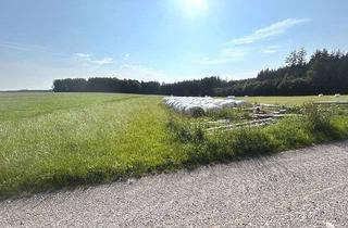 Gewerbeimmobilie kaufen in 87755 Kirchhaslach, *** Landwirtschaftsfläche Gemarkung Greimeltshofen ***