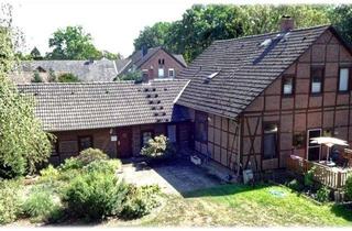 Haus kaufen in 38539 Müden, Müden/Aller - Gerstenbüttel - 3-Familienhaus auf historischem Boden und Eichenhain