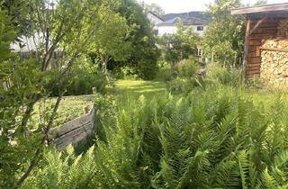 Haus kaufen in 63636 Brachttal, Besondere Immobilie mit großem Garten