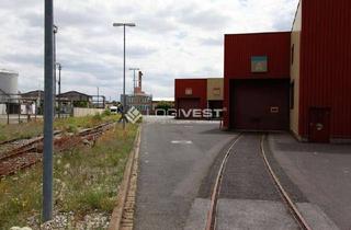 Gewerbeimmobilie mieten in 01987 Schwarzheide, Lager- und Logistikflächen nahe der A13