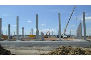 Gewerbeimmobilie mieten in 18195 Tessin, Projektierter Neubau einer Lager- und Logistikhalle