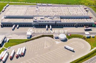 Gewerbeimmobilie mieten in 17126 Jarmen, Projektierter Neubau einer Lager- und Logistikhalle