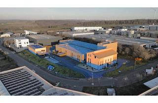 Gewerbeimmobilie kaufen in Nikolaus Otto Straße 22, 33178 Borchen, Gewerbeobjekt mit Büro- und Produktionsgebäude auf 7.000 m² Grundstück in optimaler Verkehrslage