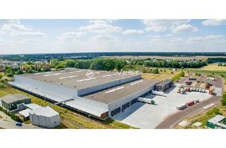 Büro zu mieten in 68649 Groß-Rohrheim, Industriehallen in Groß-Rohrheim mit Bürogebäude!