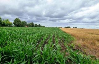 Grundstück zu kaufen in 17429 Mellenthin, Attraktives Bauland in Dewichow