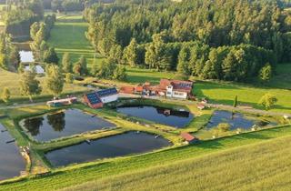 Haus kaufen in 95703 Plößberg, Plößberg - zu verkaufen