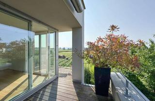 Wohnung kaufen in 88149 Nonnenhorn, Exklusive 4-Zimmer-Wohnung mit Seeblick inmitten von Weinreben!