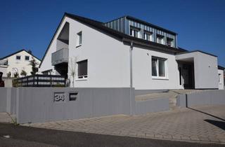Wohnung mieten in Poststraße 34, 67480 Edenkoben, Exklusive 2-Zimmer-DG-Wohnung mit gehobener Innenausstattung mit Balkon und Einbauküche in Edenkoben