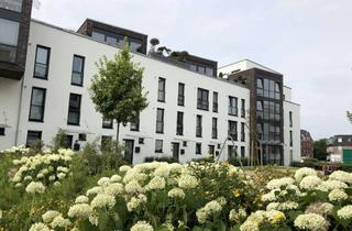 Lofts mieten in Glasbläserhöfe 5a, 21035 Bergedorf, Sonnige Loft-Wohnung mit 2 Dachterrassen!