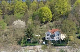 Villa kaufen in 93059 Ober- und Niederwinzer-Kager, ***Wohnen mit unverbaubaren Donaublick - einzigartige Denkmalvilla***