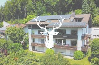 Haus kaufen in 79761 Waldshut-Tiengen, Schönes 5-Familienhaus mit top Entwicklungspotential in bester Lage von Waldshut mit Rheinblick zu v