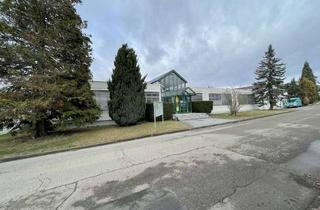 Gewerbeimmobilie kaufen in 88471 Laupheim, Firmenstandort mit Verwaltungs- und Vertriebsfläche