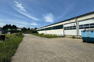 Gewerbeimmobilie mieten in 56642 Kruft, Kalthalle mit top Verkehrsanbindung