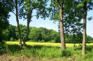 Grundstück zu kaufen in 06493 Ballenstedt, *** Weidegrundstück mit knapp 2500m² ***