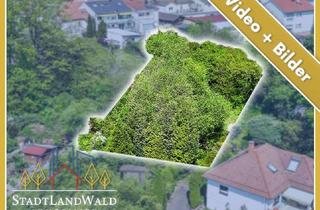 Grundstück zu kaufen in Schafalm 12, 66969 Lemberg, Viel Platz und Fernblick – Baugrundstück mit Option auf Doppelbauplatz in Lemberg (Pfalz)