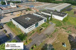 Lager kaufen in 48703 Stadtlohn, Stadtlohn: Unternehmer-Sternenhimmel - Gewerbeflächen, Hallen und Bürogebäude!