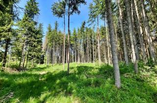 Gewerbeimmobilie kaufen in 87740 Buxheim, Werden Sie Waldbesitzer!!! Waldgrundstück in der Nähe von Buxheim