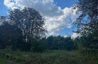 Grundstück zu kaufen in 15938 Steinreich, Wohnen mit Weitblick – Baugrundstück in ruhiger Lage bei Berlin