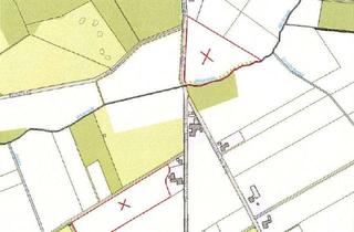 Gewerbeimmobilie kaufen in 32479 Hille, Verpachtete Ackerflächen in Hille und Frotheim