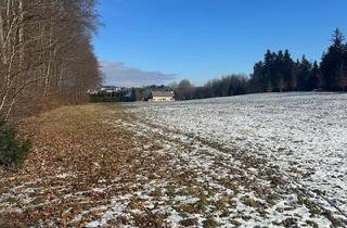 Bauernhaus kaufen in 08289 Schneeberg, Schneeberg - Idyllisches Anwesen mit Wohnhaus Stall Scheune 18.514 m² Grünland