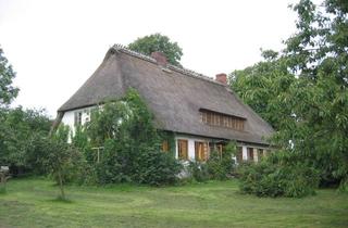 Wohnung mieten in Südensee, 24966 Sörup, Galerie-Wohnung unter Reet in idyllischer, ruhiger Alleinlage