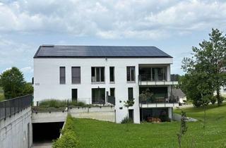 Wohnung mieten in Taubenberg 9 b, 88131 Bodolz, Exklusive Galerie-Wohnung 3-Zimmer mit EBK